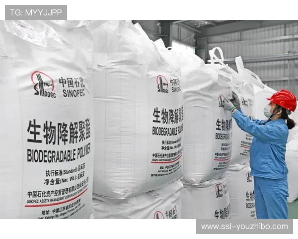 摔跤器材供应商竞标标准更新，侧重安全性与耐用性指标